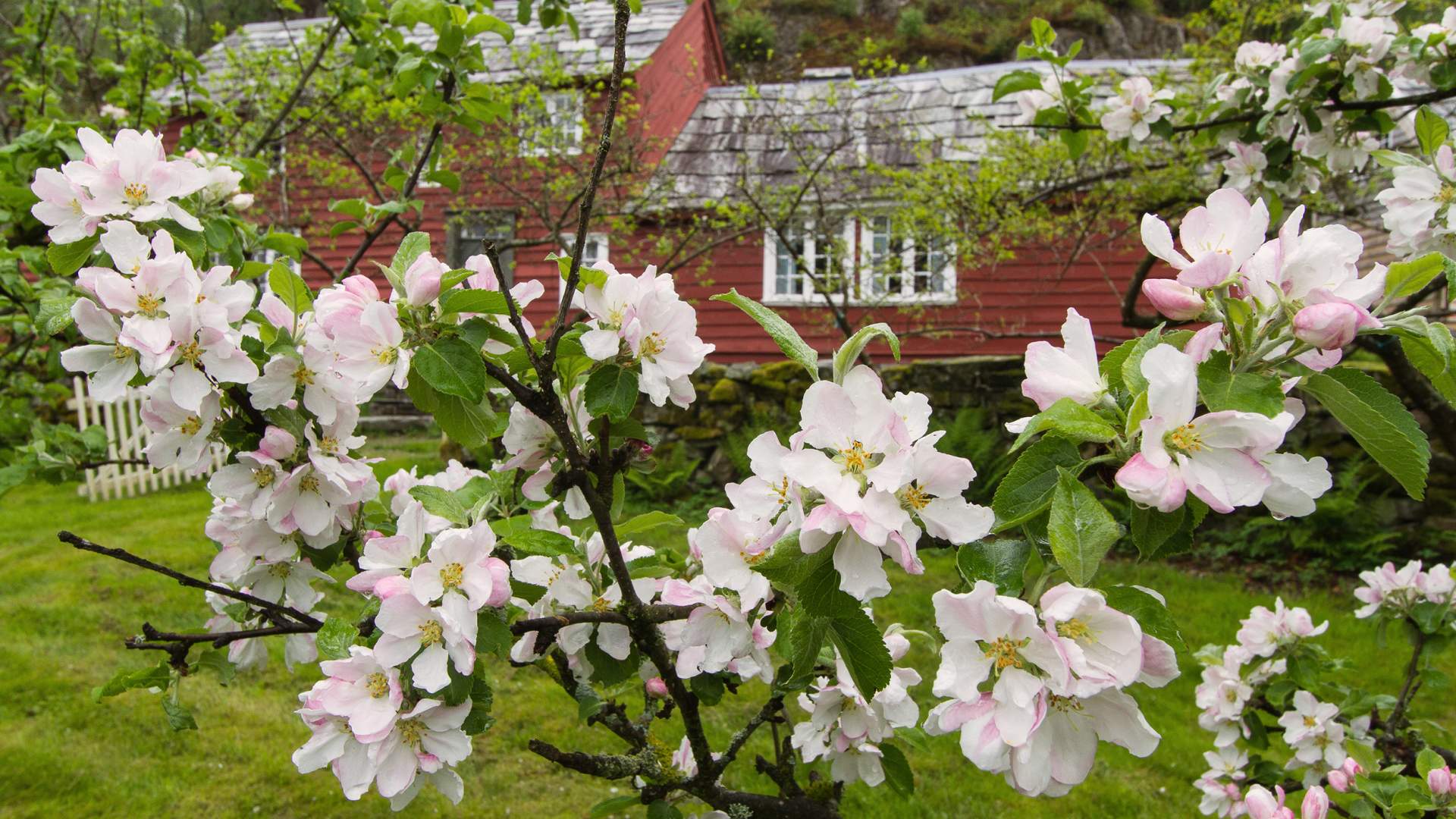 Vigatunet i Hjelmeland (Ryfylkemuseet)