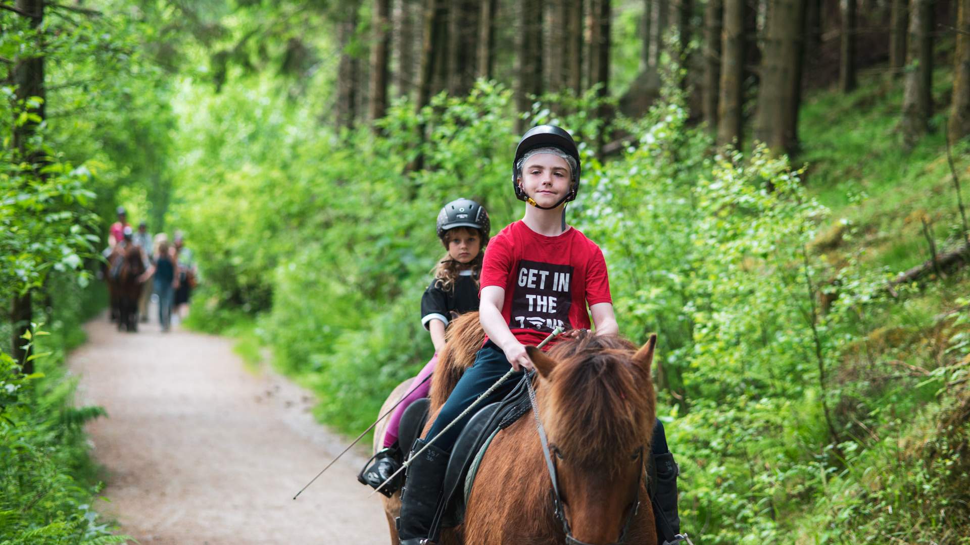 Tryggvi Islandshestgård