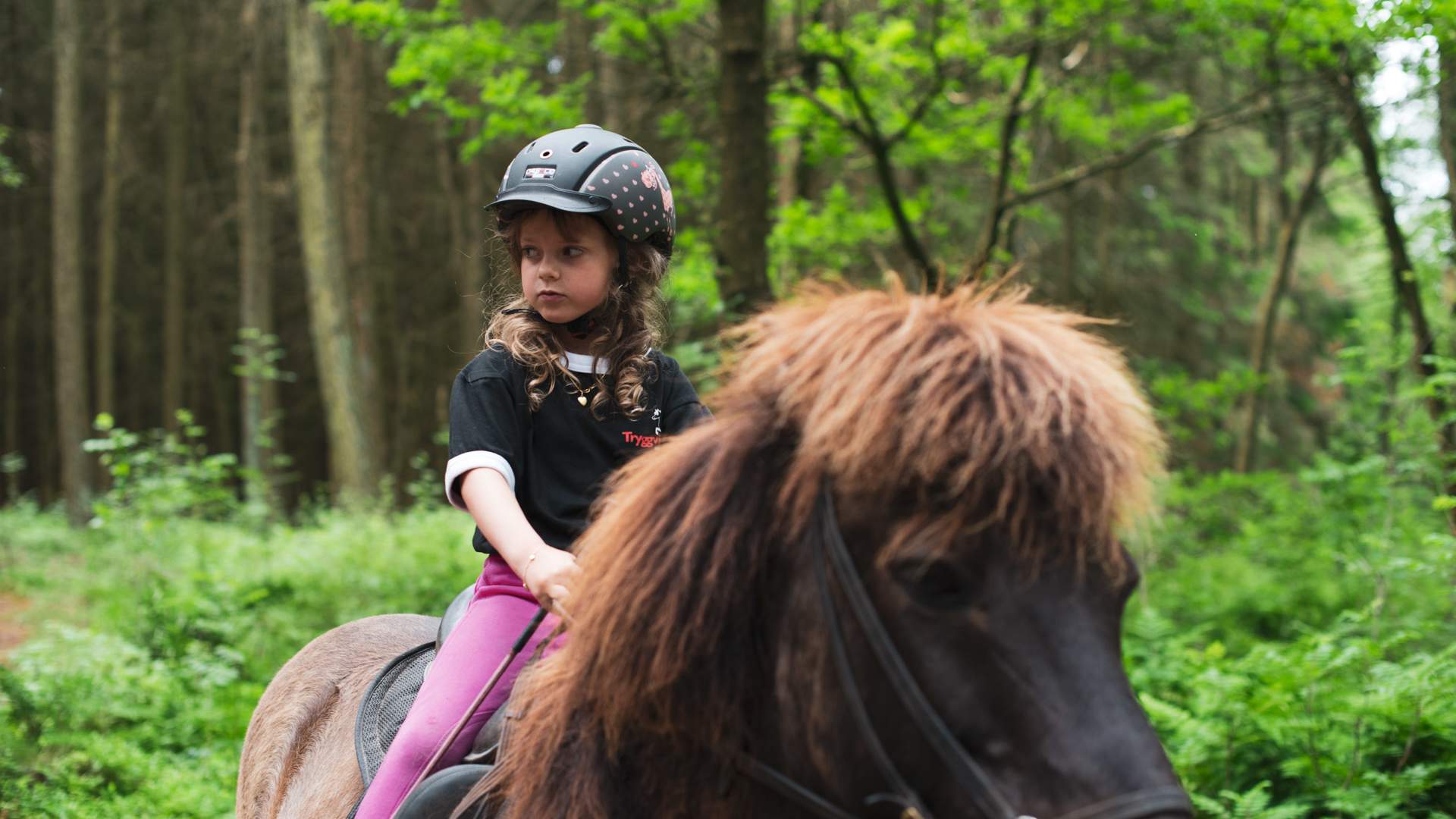 Tryggvi Islandshestgård