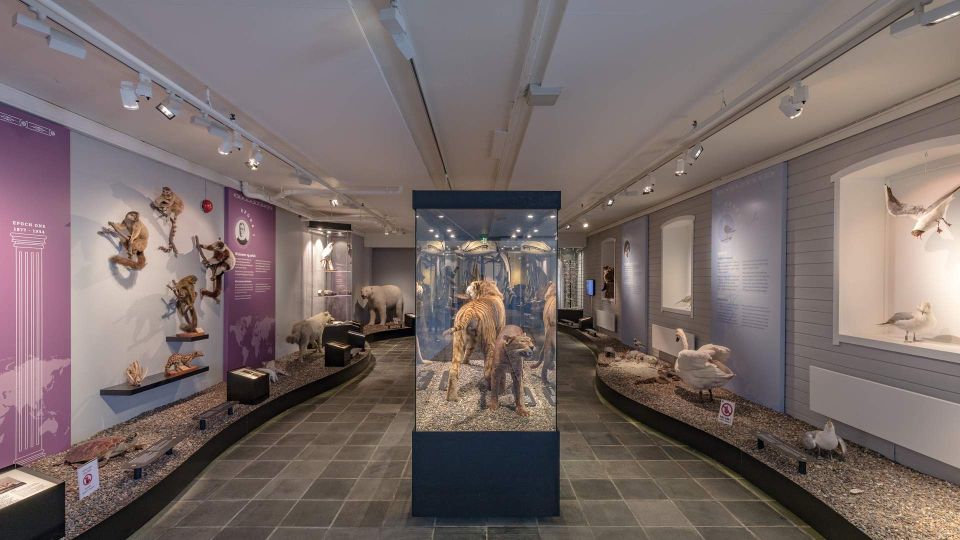 Stavanger Museum mit dem Norwegischen Kindermuseum