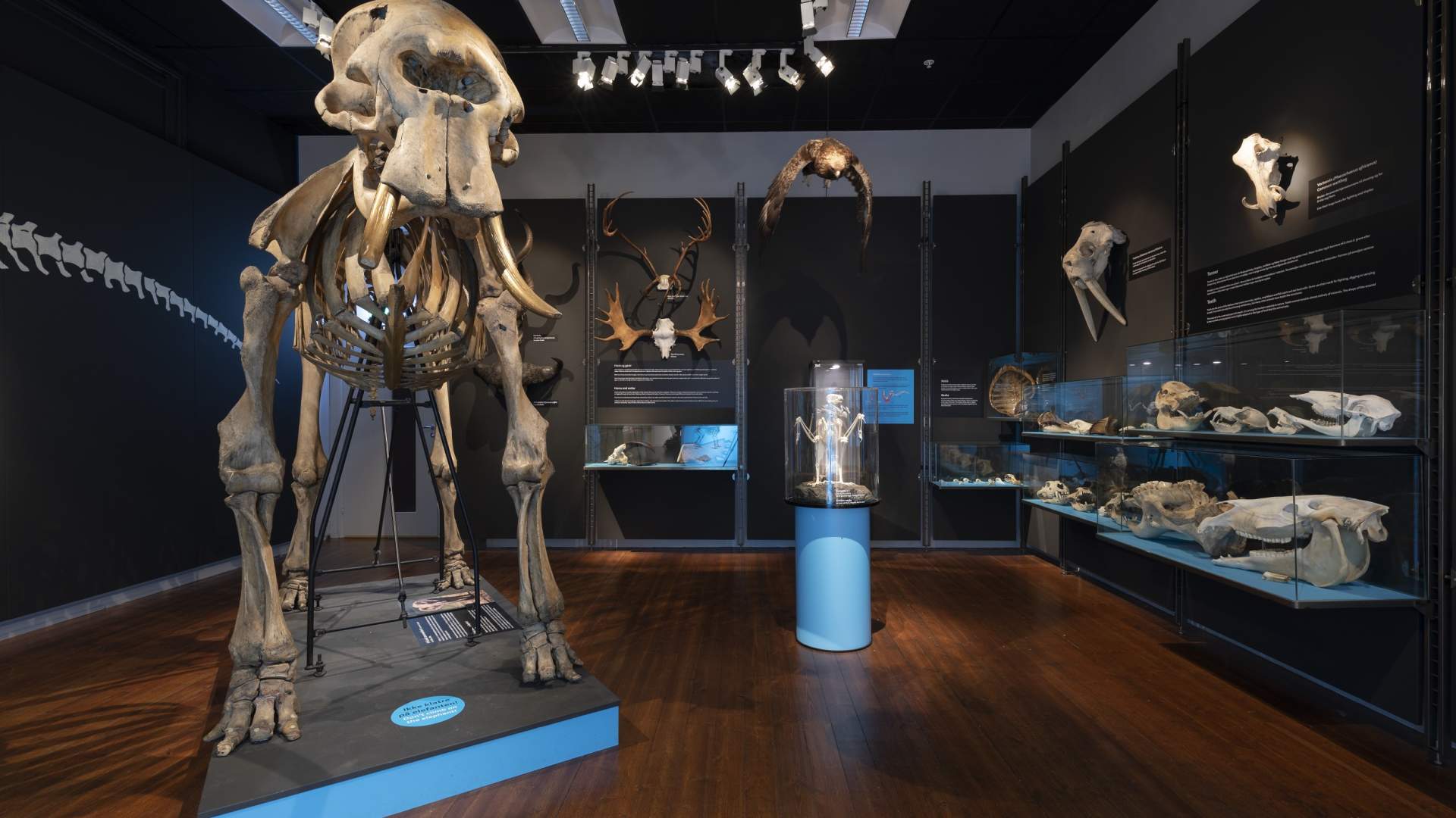 Stavanger Museum mit dem Norwegischen Kindermuseum