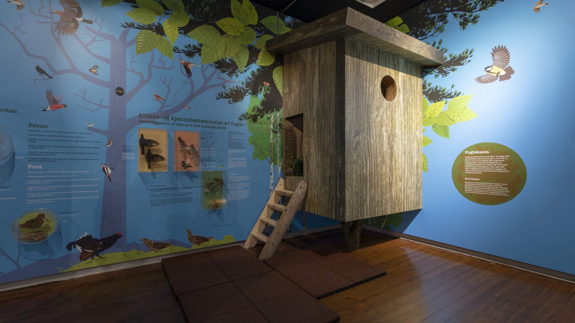 Stavanger Museum mit dem Norwegischen Kindermuseum