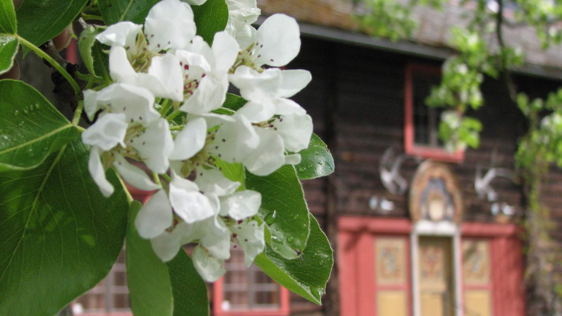 Sunndal Rural Museum