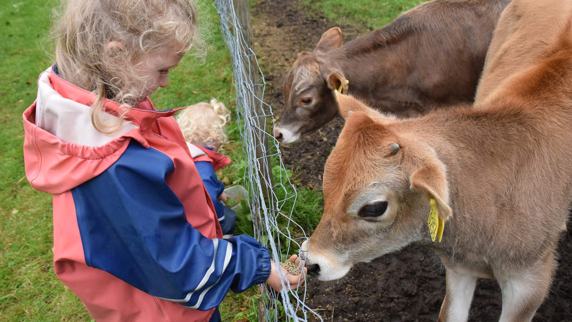 Kolbeinstveit - a living museum farm in Suldal (Ryfylkemuseet)
