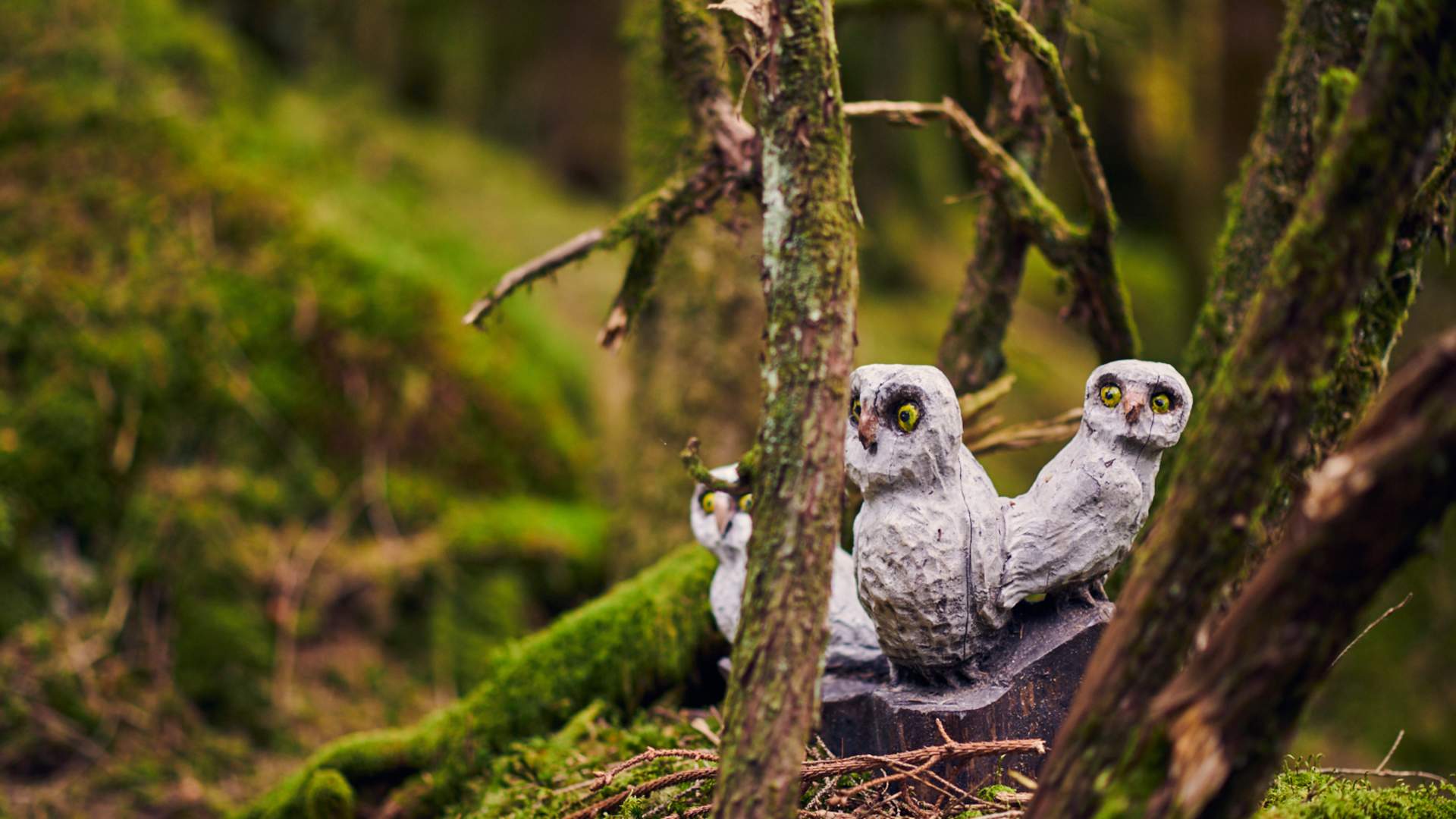 Familienausflug zum Eventyrskogen in Årdal