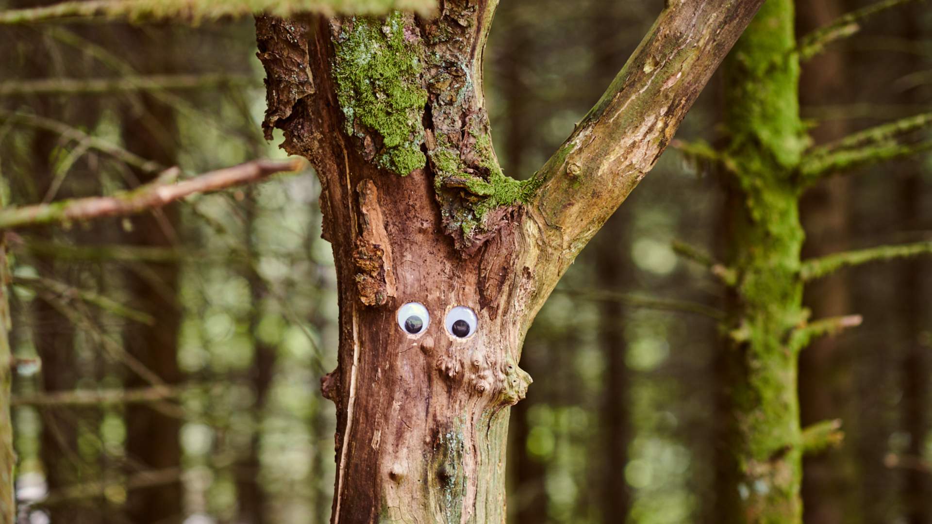 Familienausflug zum Eventyrskogen in Årdal