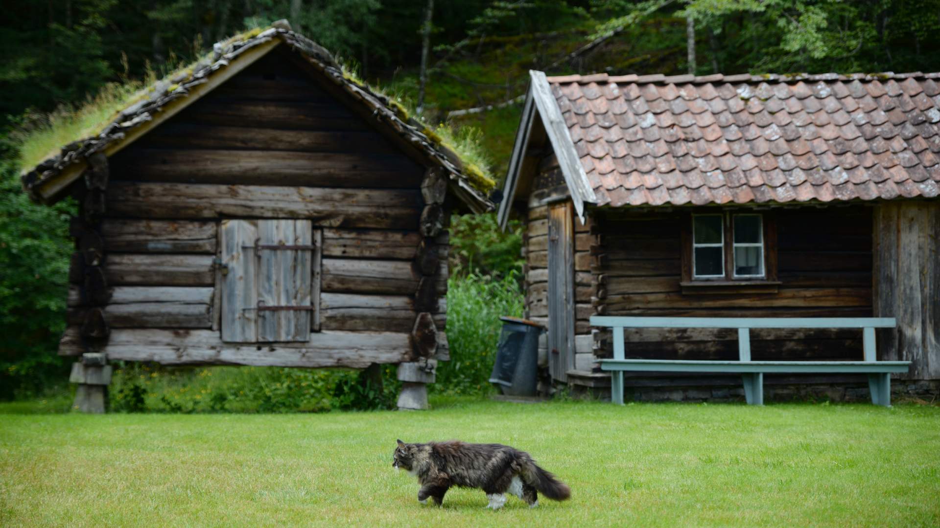 Kolbeinstveit - a living museum farm in Suldal (Ryfylkemuseet)