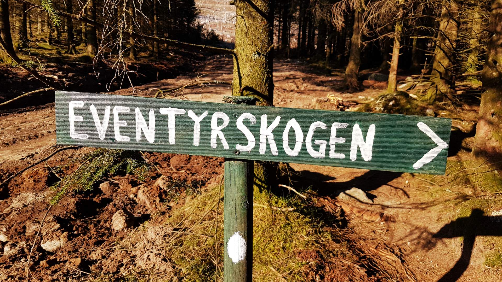 Familienausflug zum Eventyrskogen in Årdal