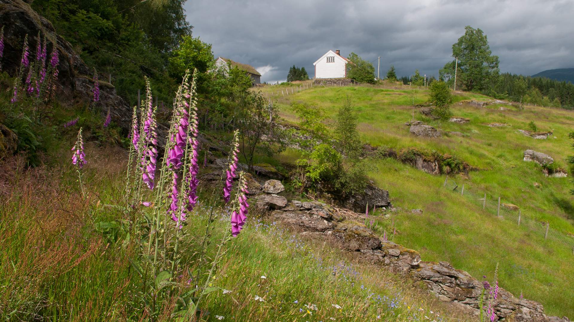 Jonegarden farm at Hustveit (Ryfylkemuseet) in Sauda