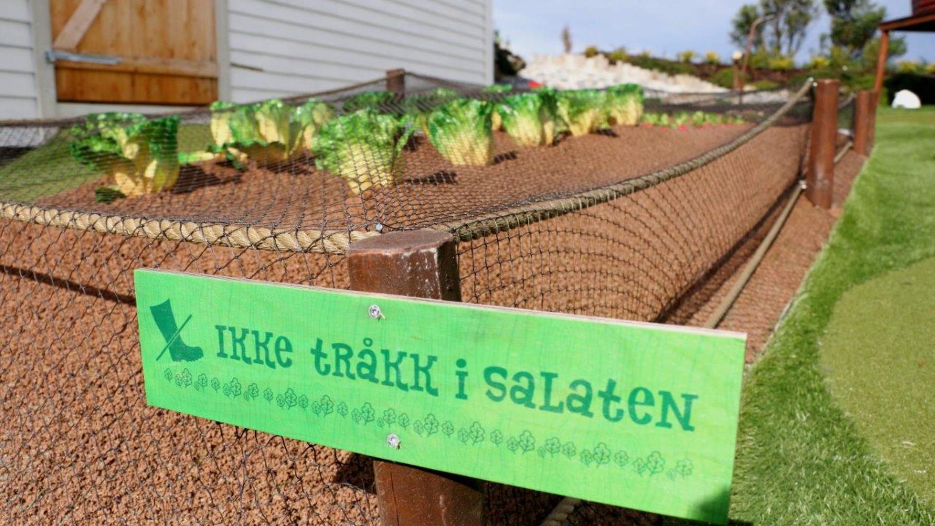 Team building at Minigolfen familiepark on Karmøy