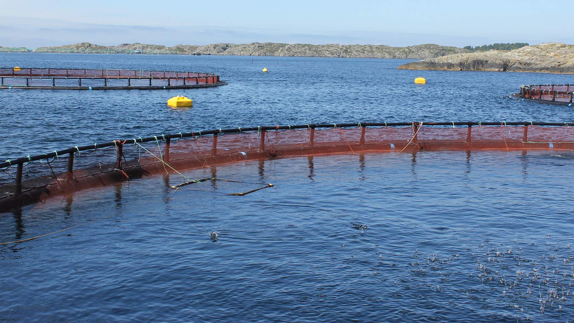 Røvær Havbrukssenter