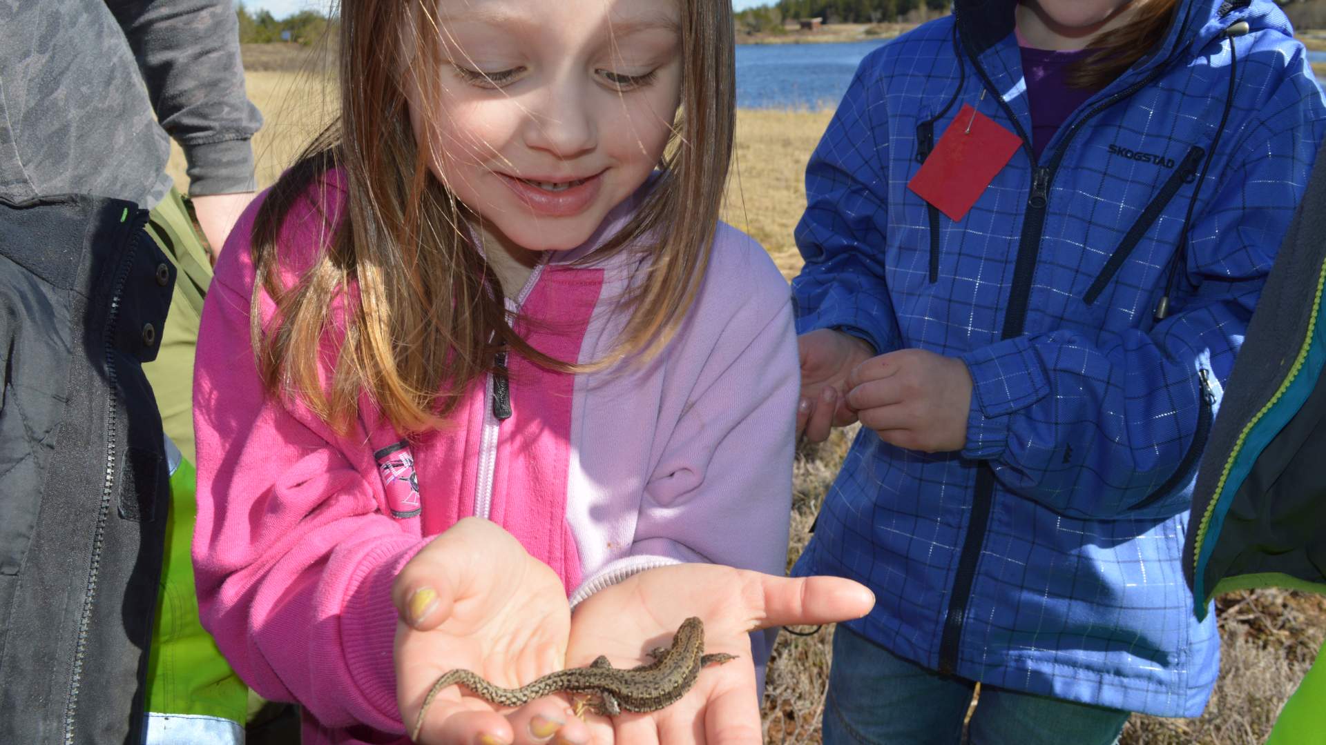 Sanden Museum Smøla