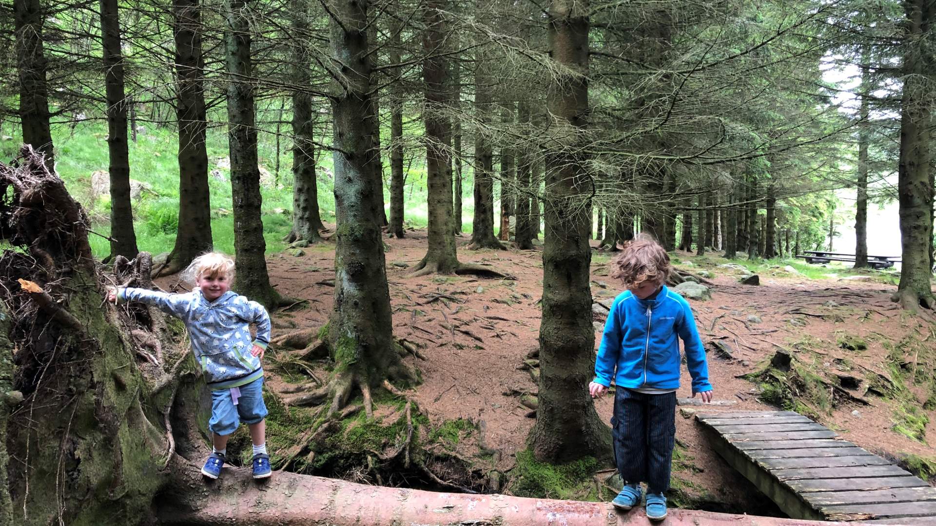 Gapahukene på Gramstad