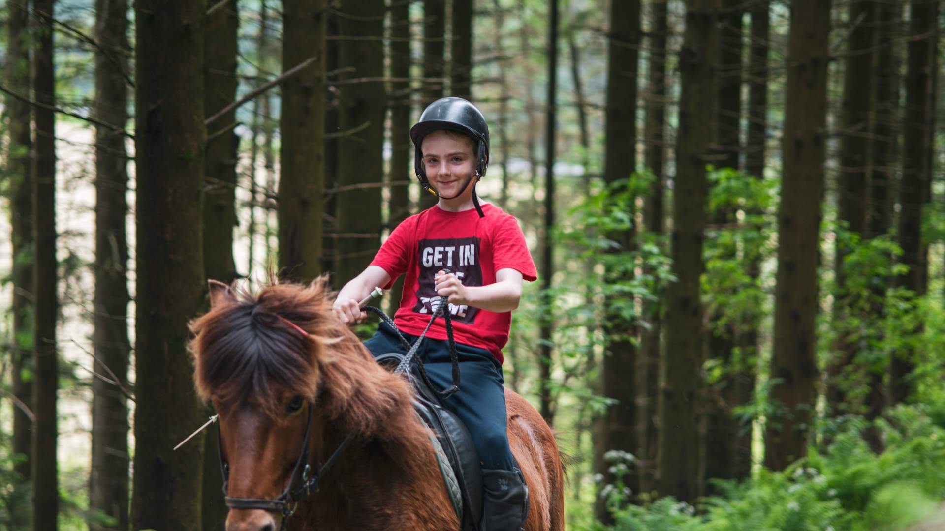 Tryggvi Islandshestgård