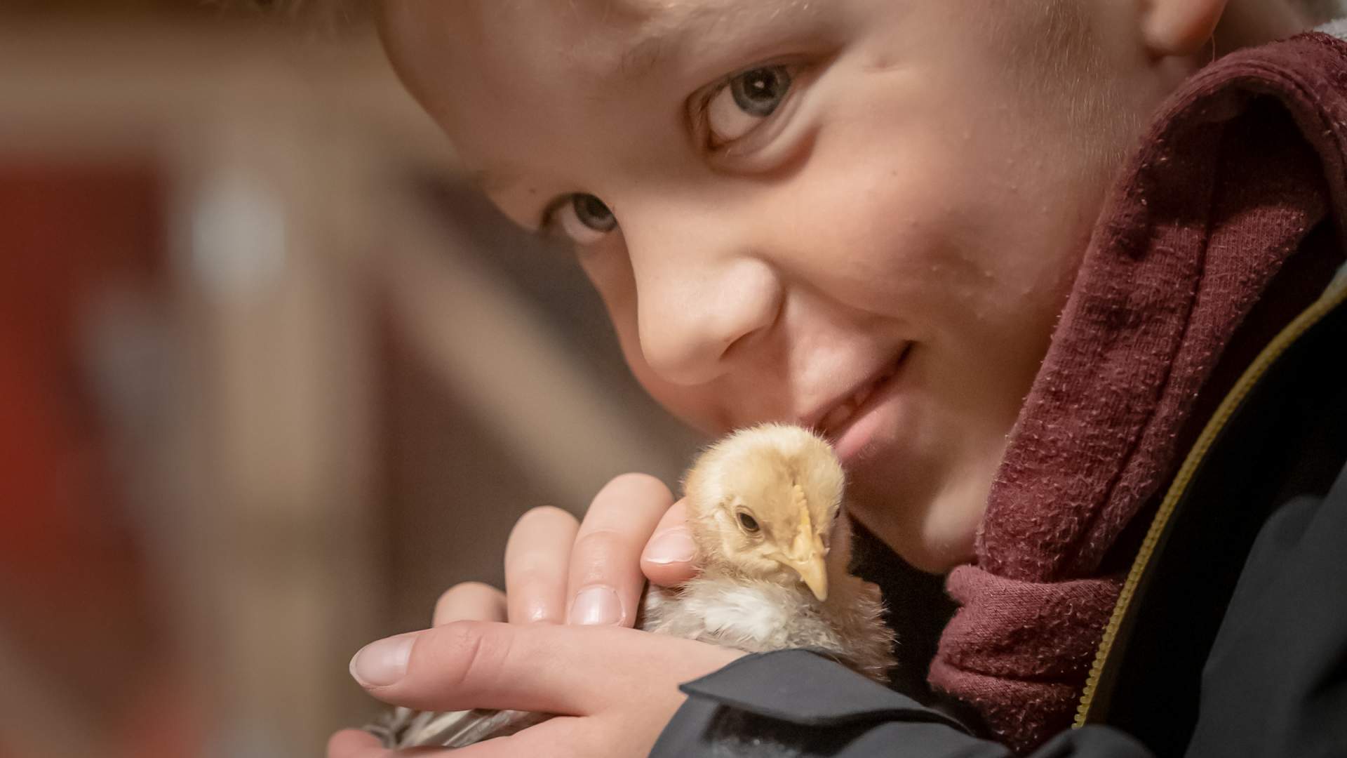 Vitengarden (Wissenschaftsfarm)