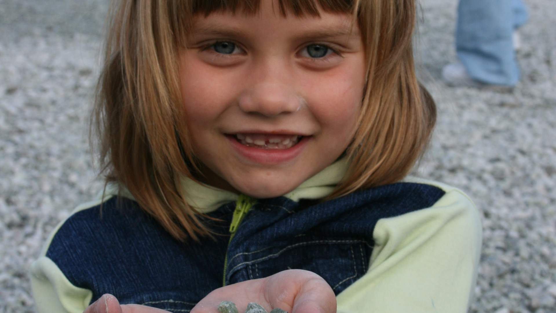 Norwegisches Olivinzentrum (NOS)