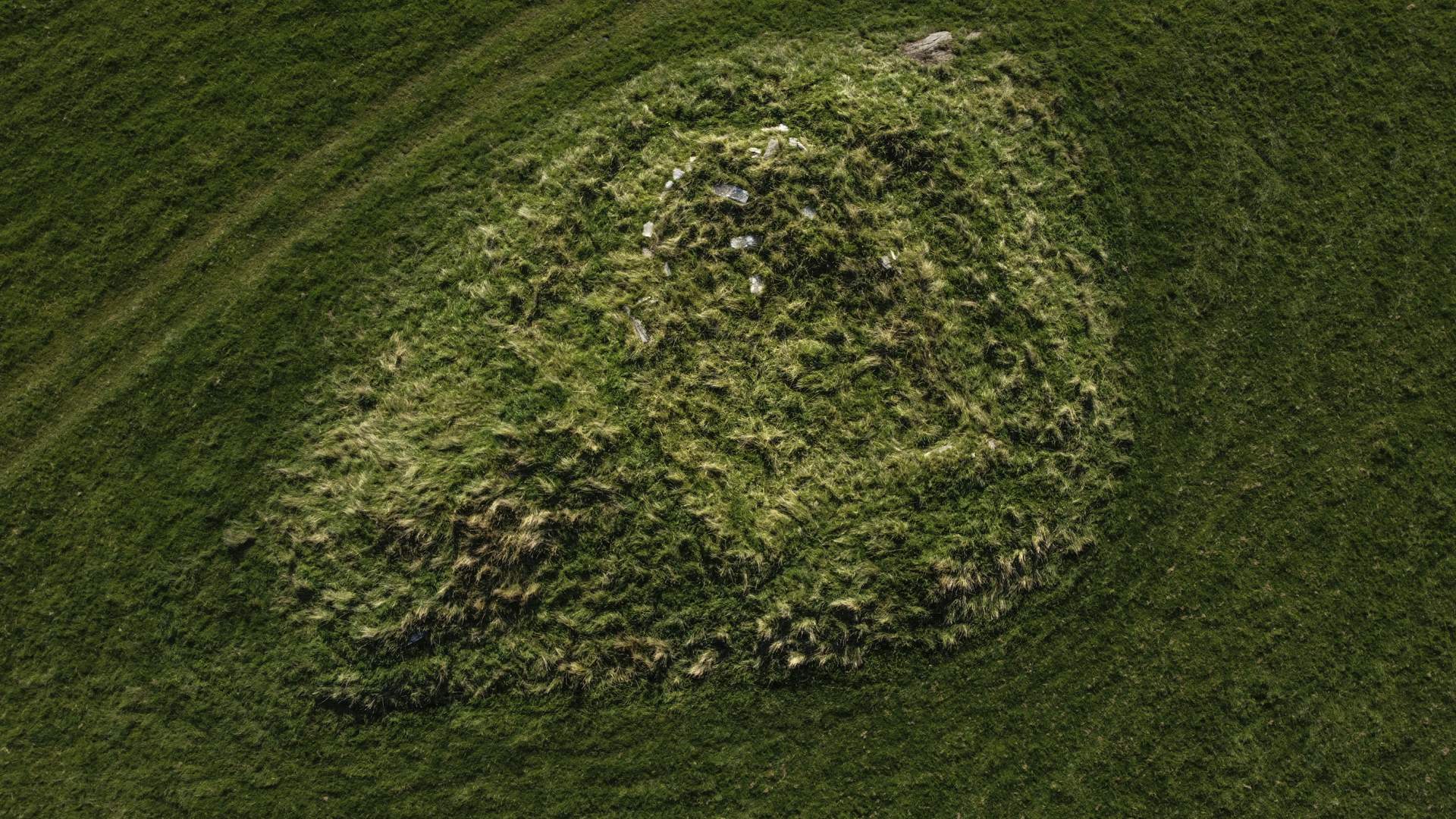 Steinkorset og St. Clemens kirkeruin