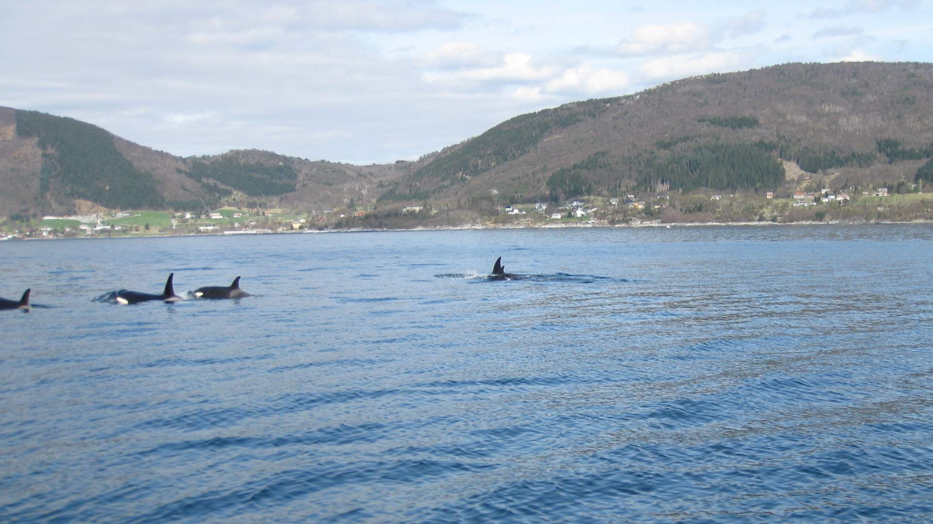 Fjordkick Holiday Houses