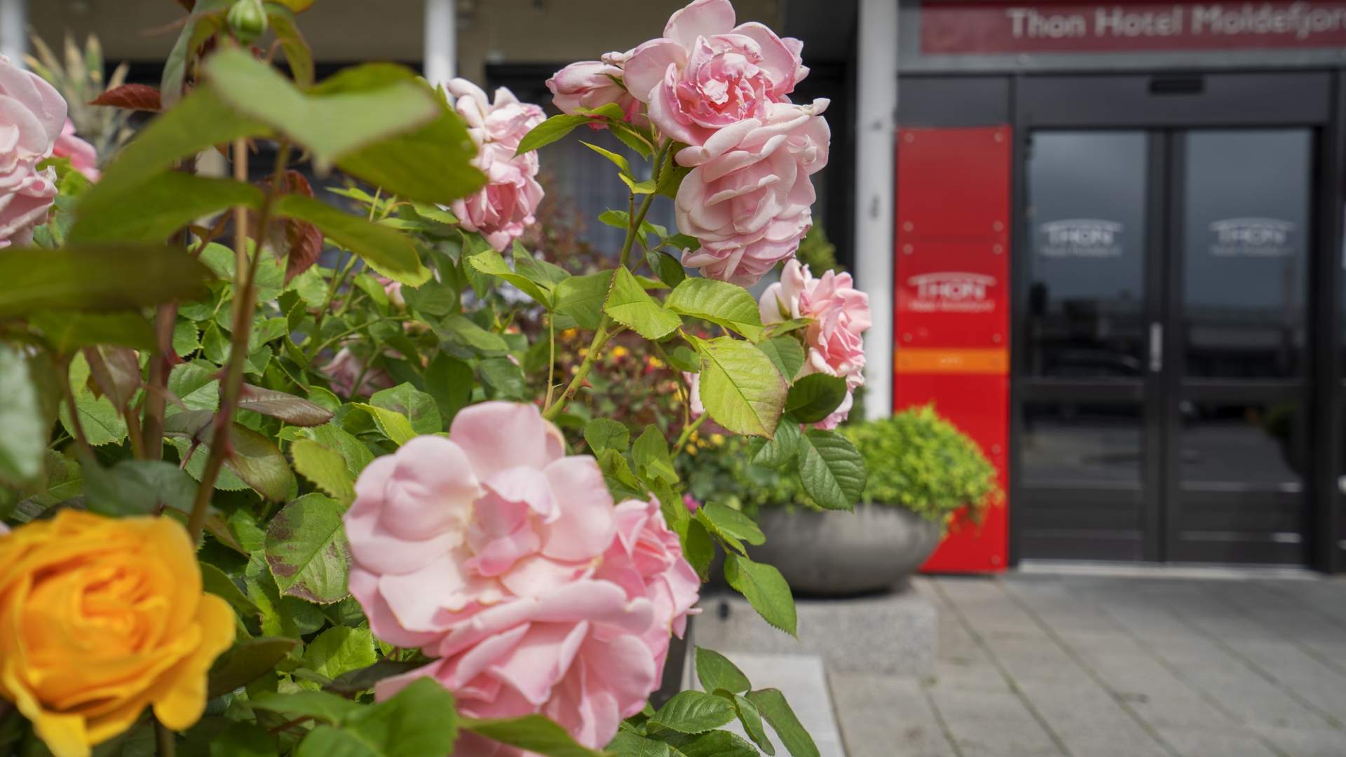 Thon Hotel Moldefjord