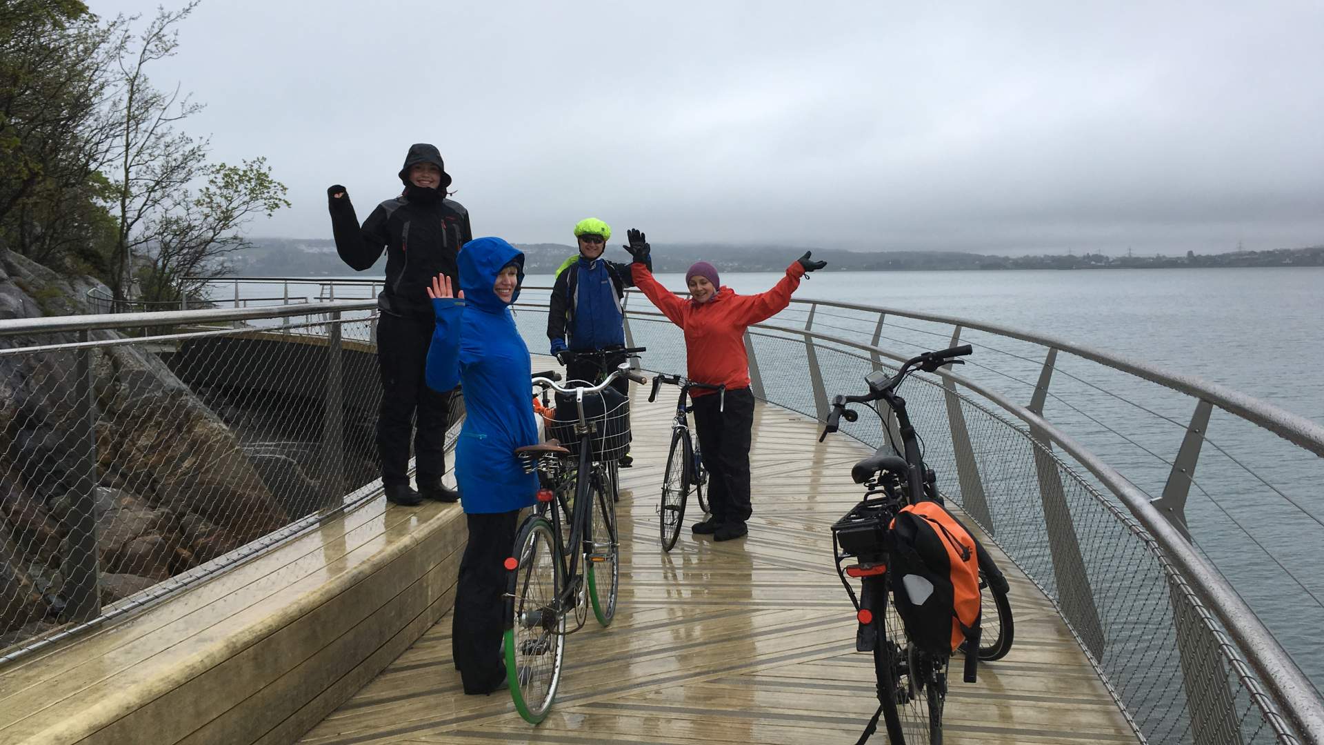 Turvei langs Hafrsfjord