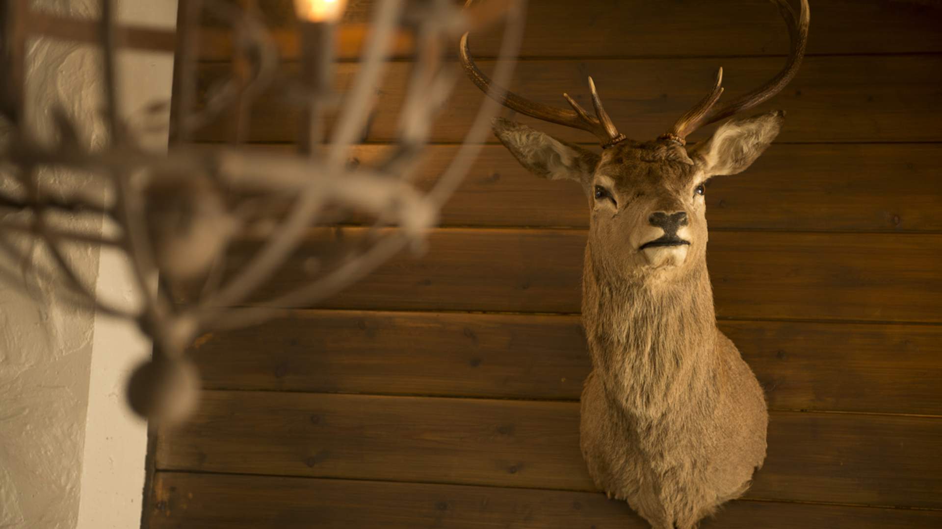 Sagafjord Hotel by Classic Norway Hotels