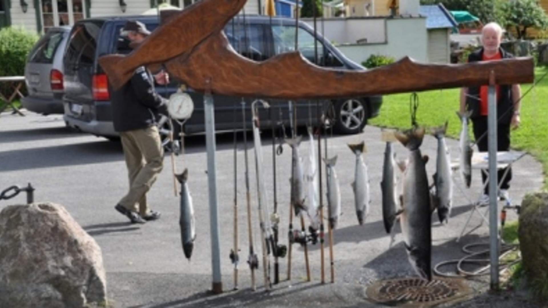 Fiske i lakseelva Vikja