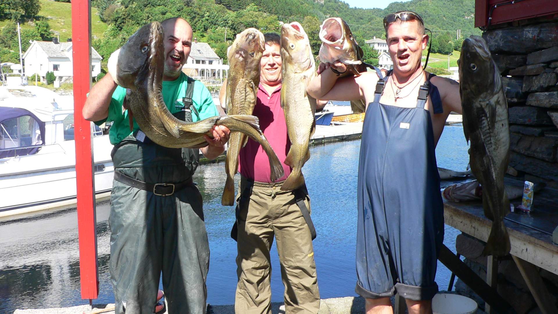 Fjordkick Holiday Houses