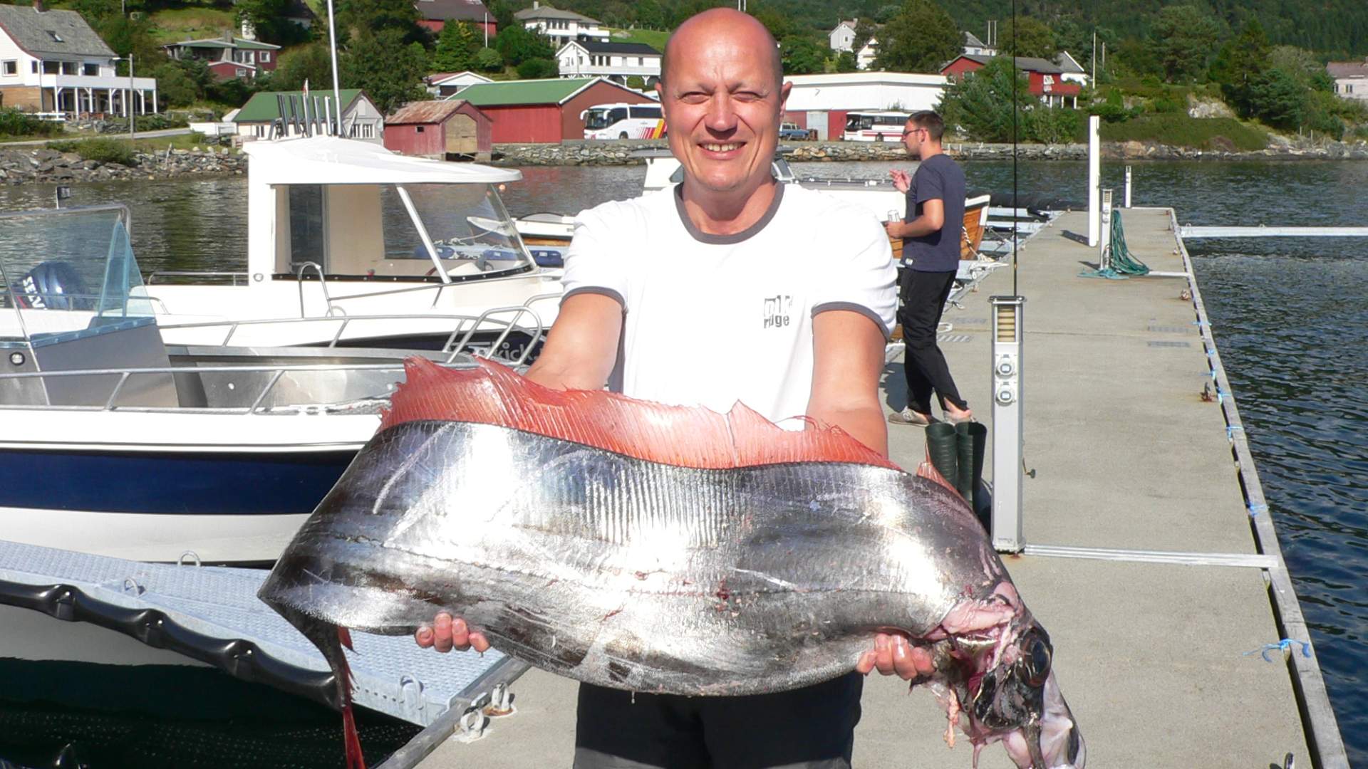 Fjordkick Holiday Houses