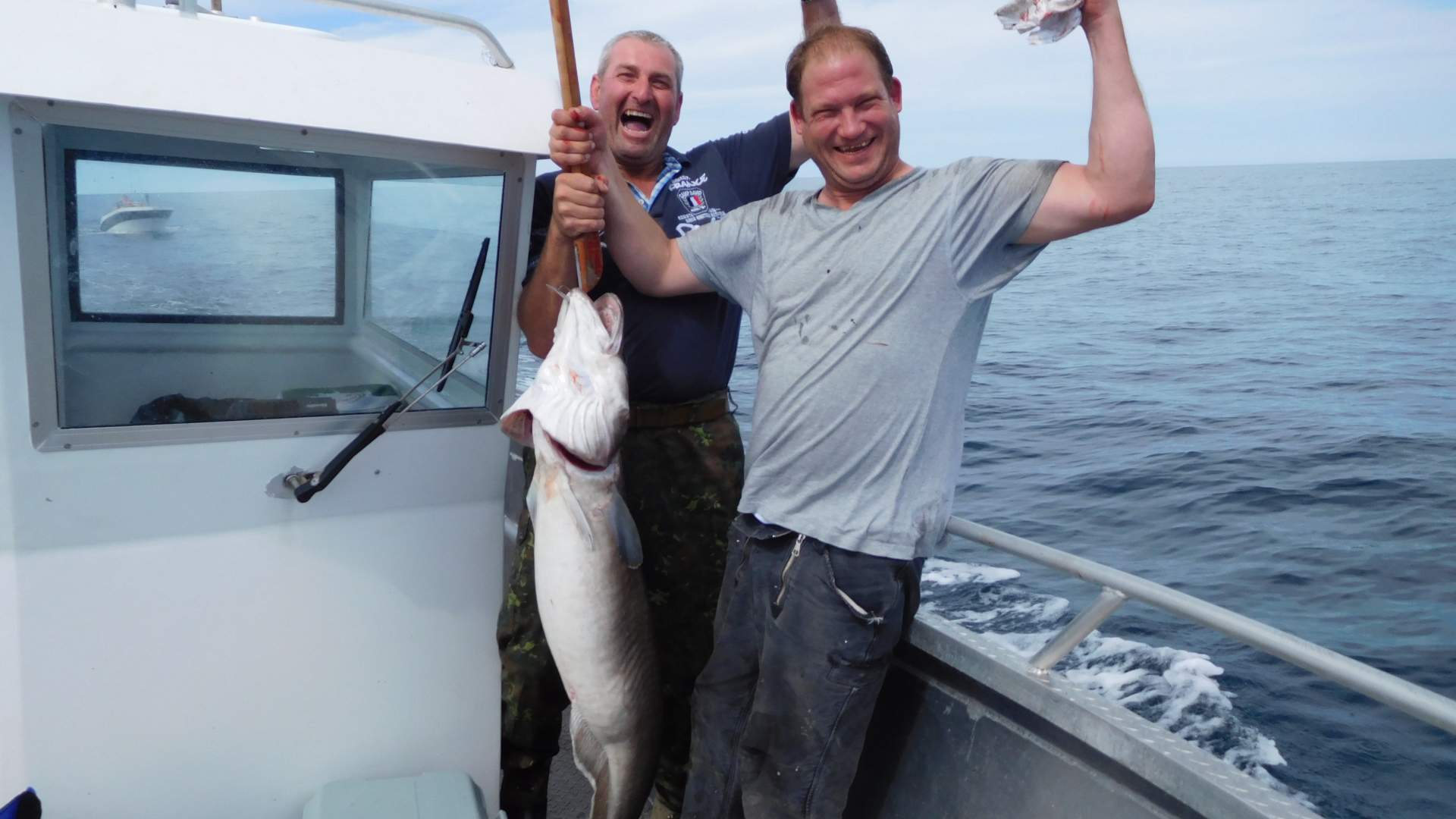 Fjordkick Holiday Houses