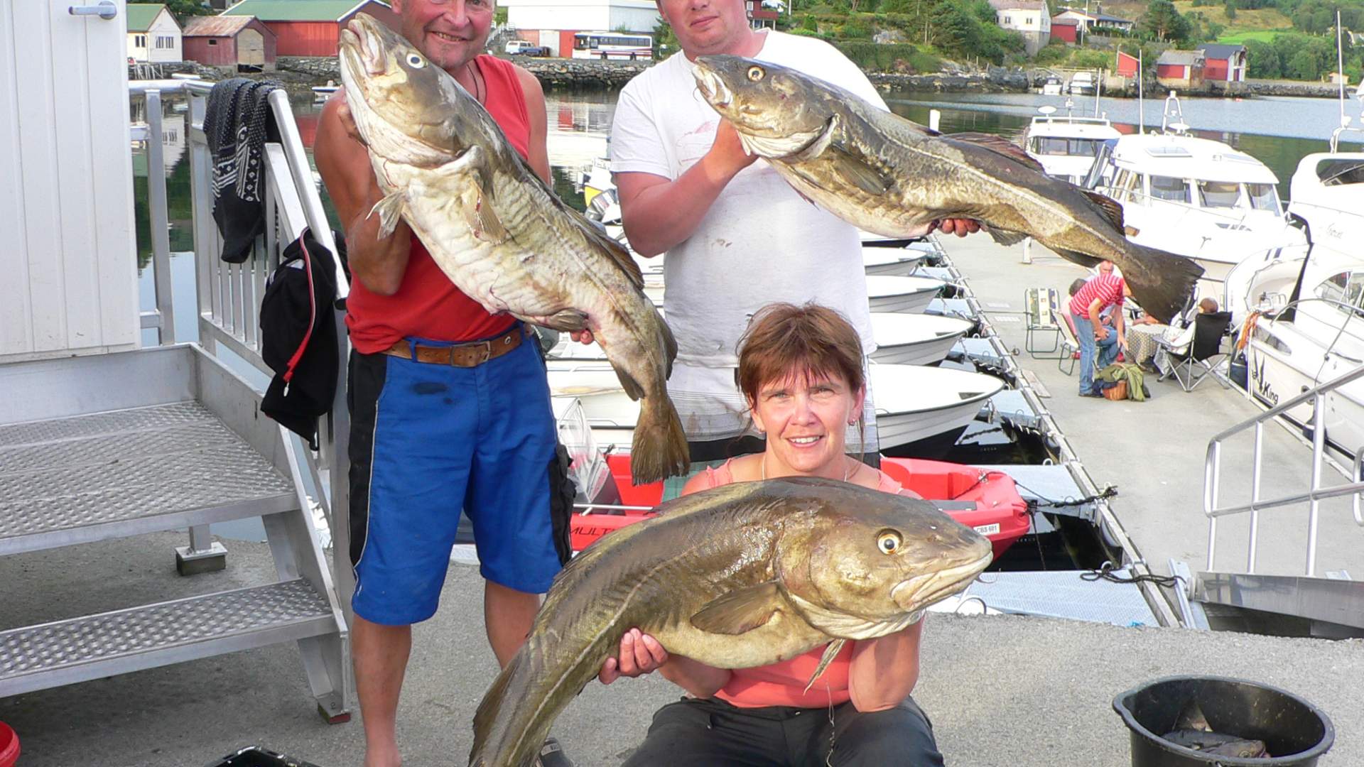 Fjordkick Holiday Houses