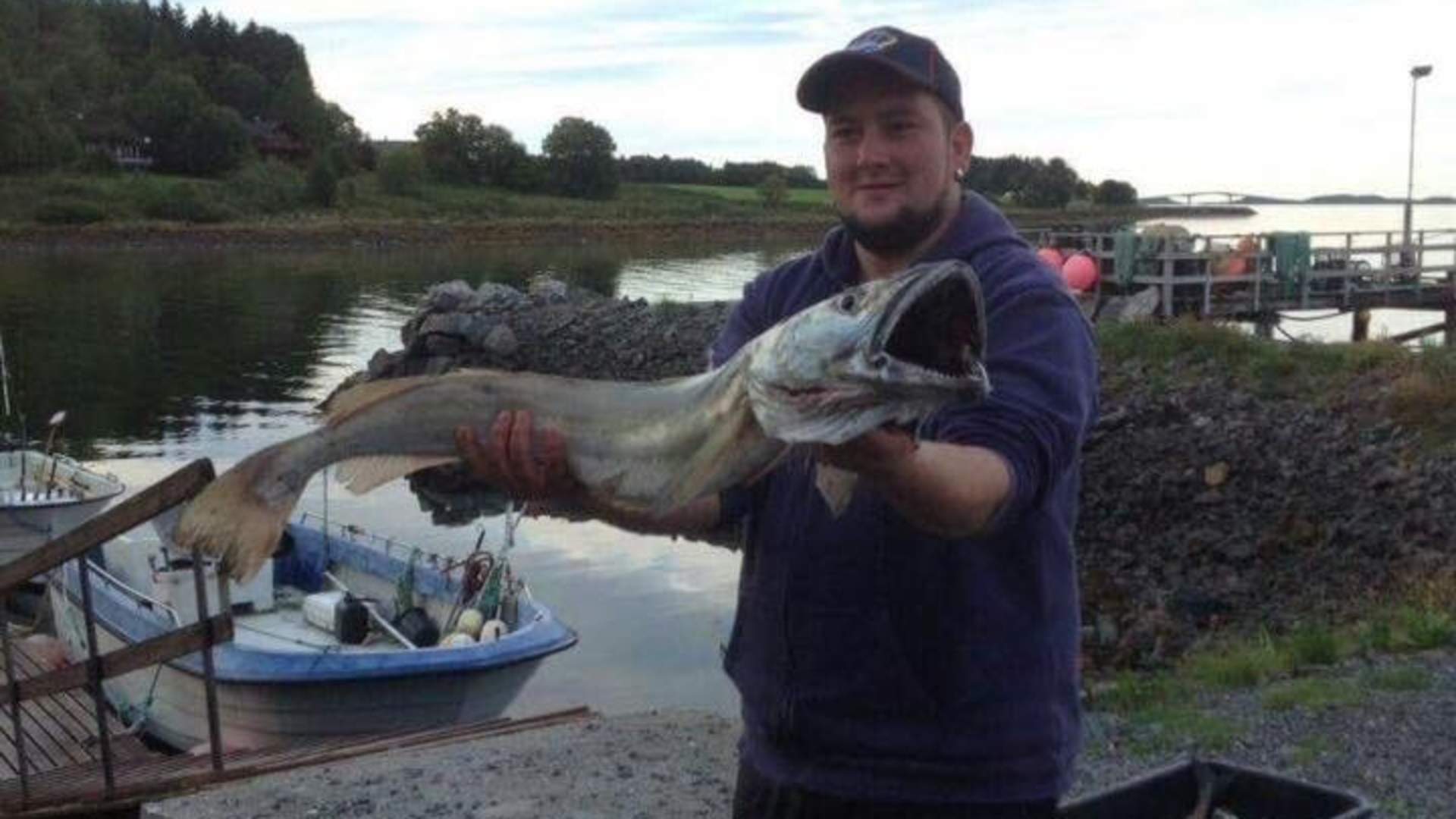 Lillevik Hytter - Cottages