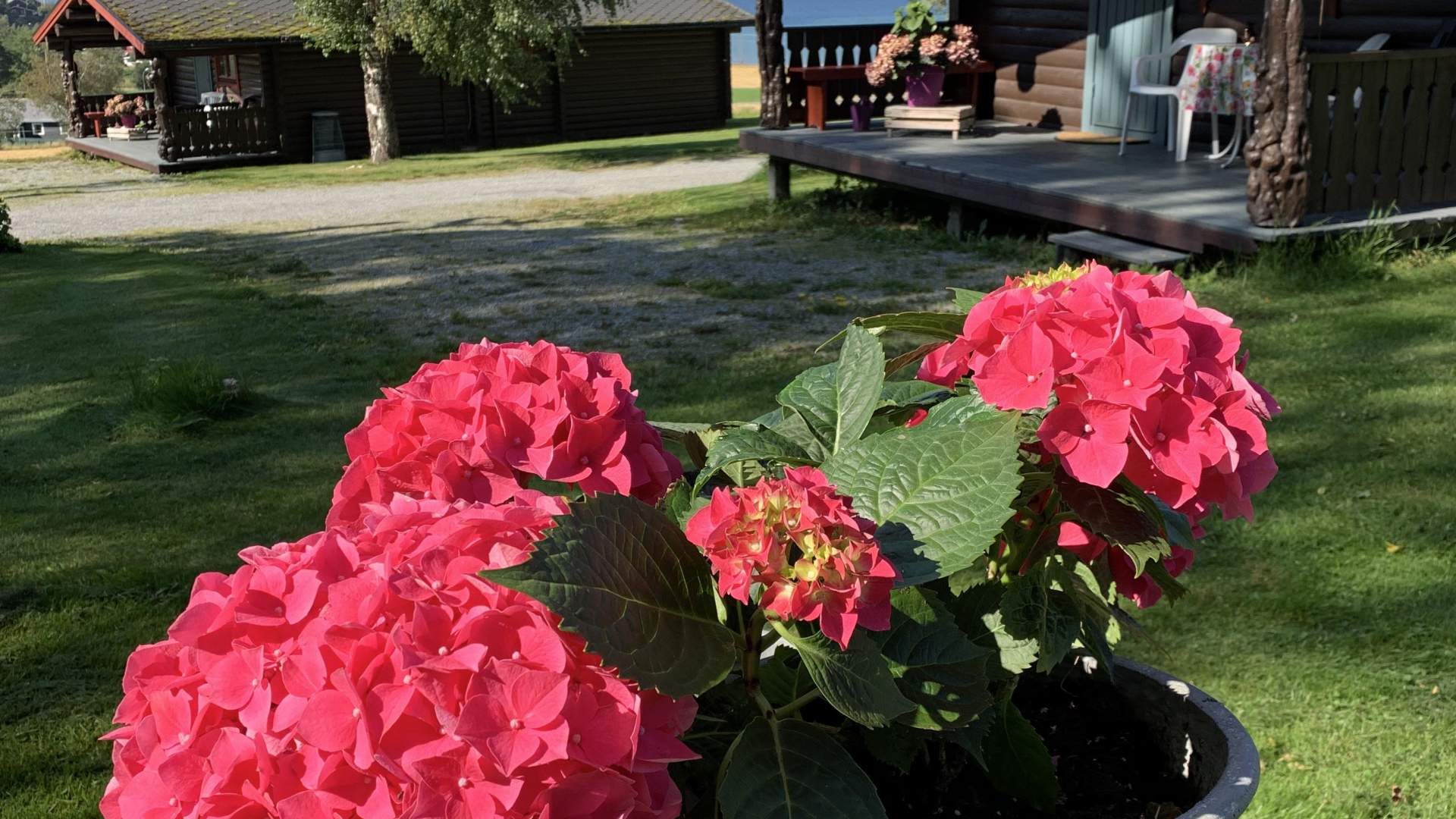 Åndalsnes Hytteutleie