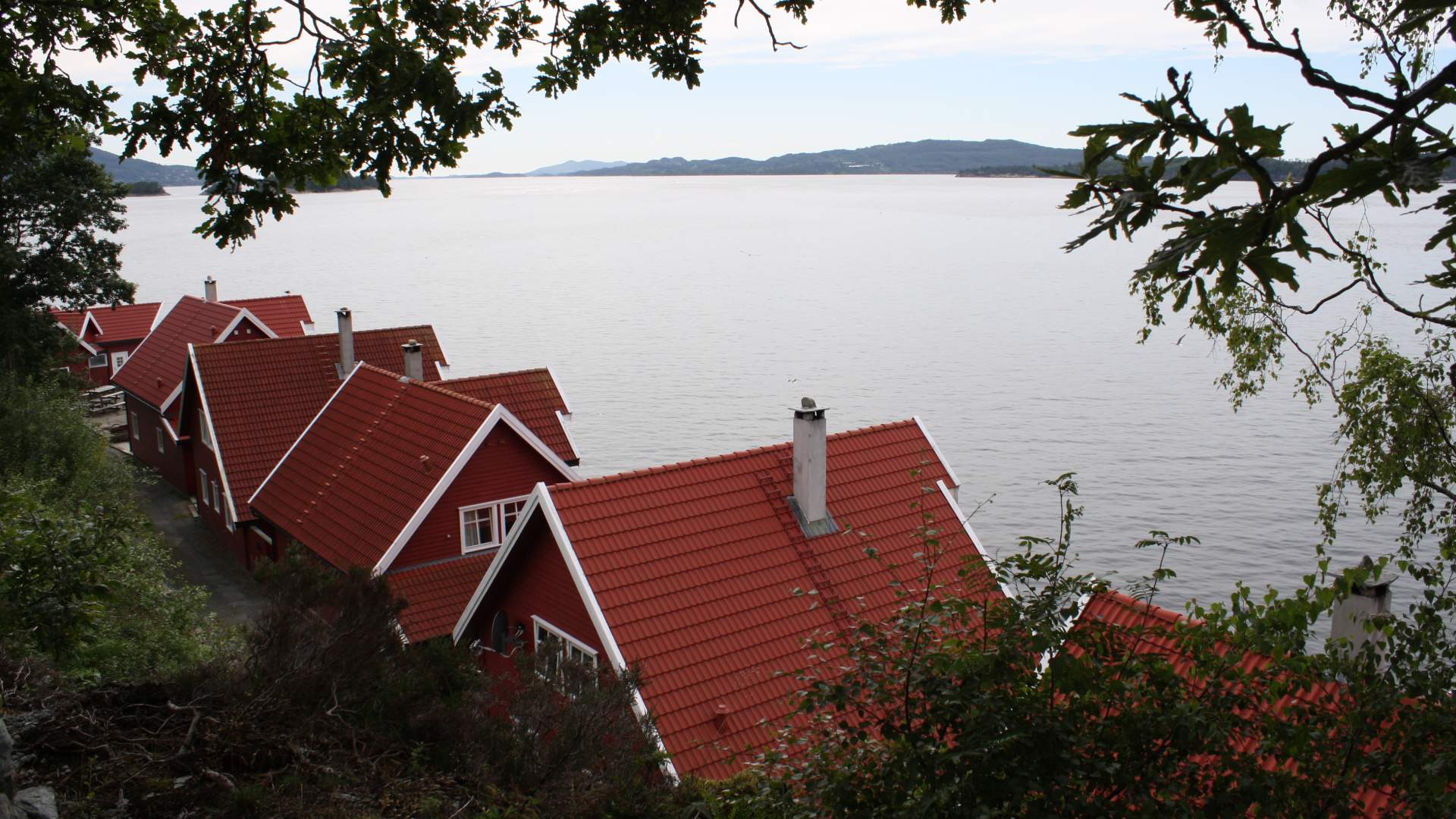 Solvåg Fjordferie, Fister