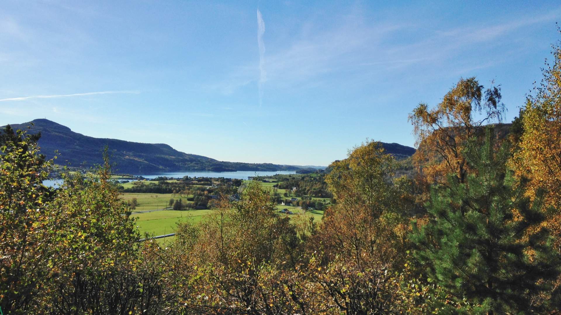 Hamrane Hyttefelt, Bjørheimsbygd