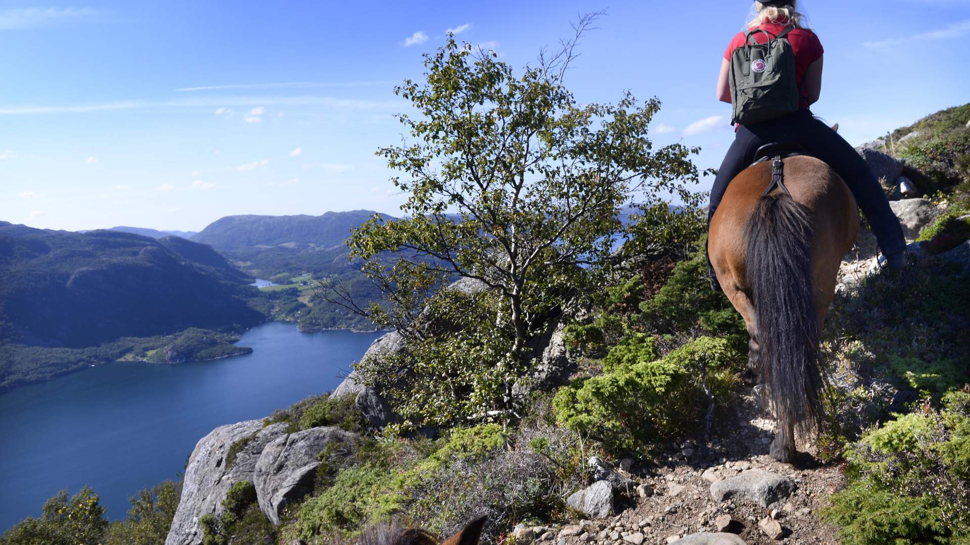 Stay at Fossanmoen Icelandic horse centre, close to the Lysefjord