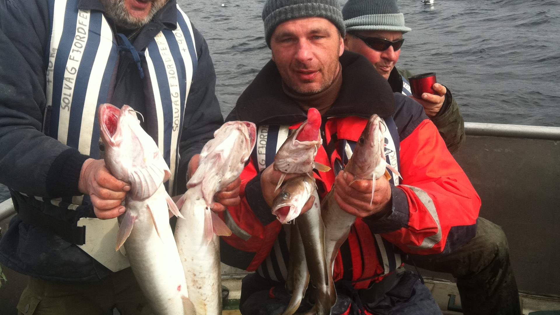 Bootsverleih bei Solvåg Fjordferie im Hjelmeland
