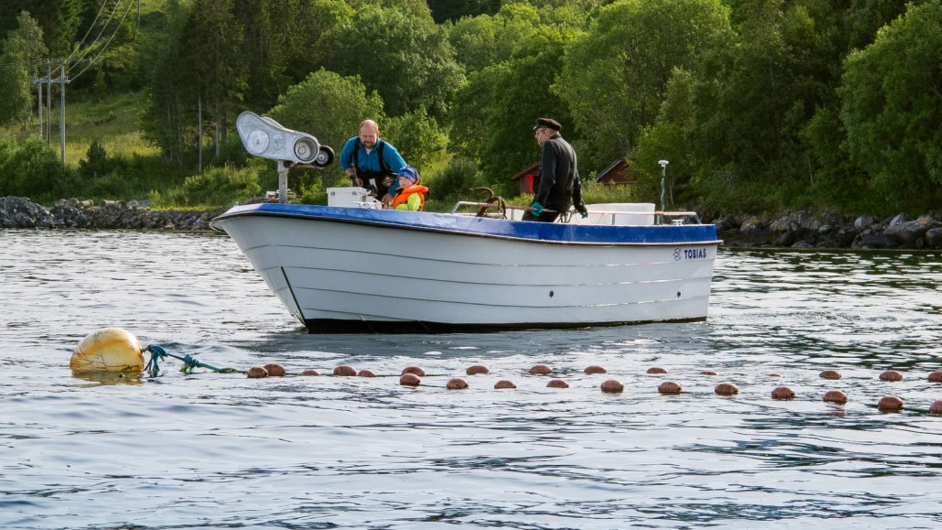 Lillevik Hytter - Cottages