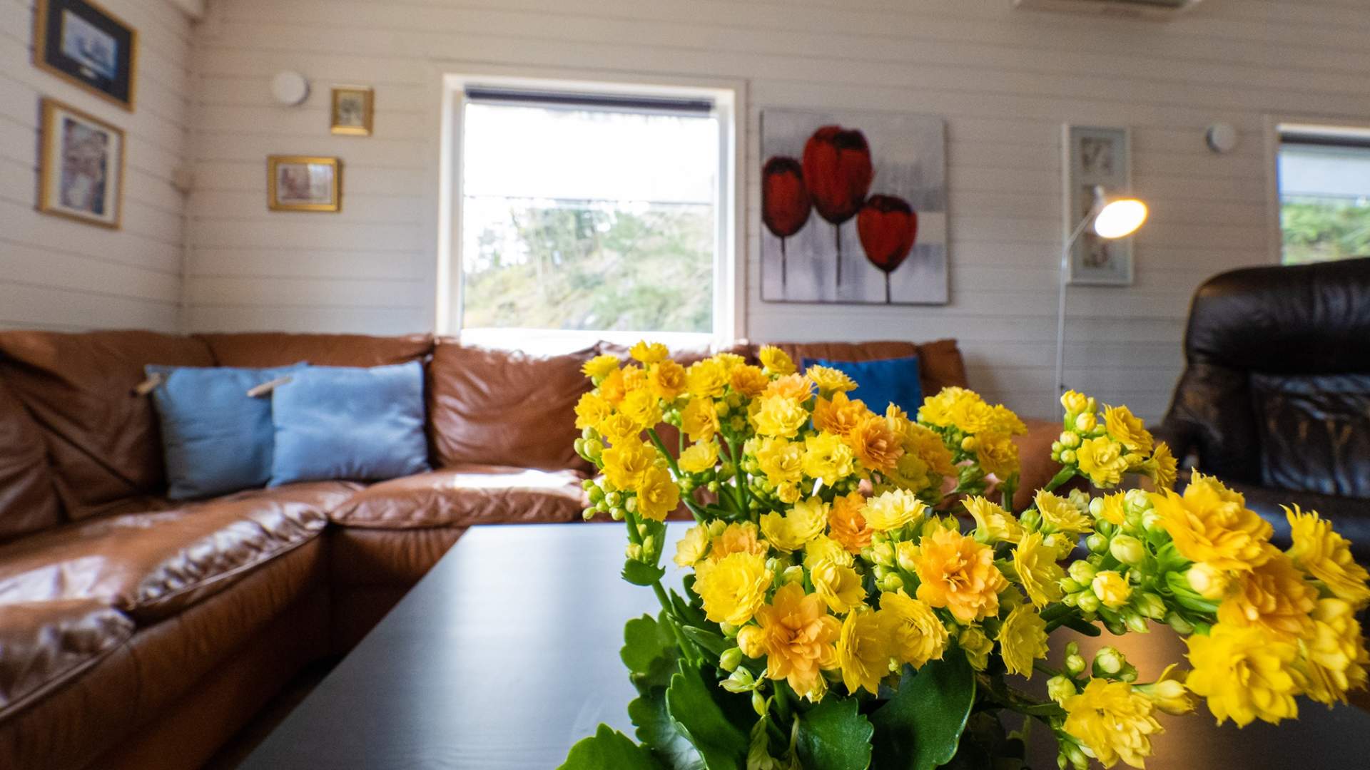 Hetlevik Maritim på Randøy