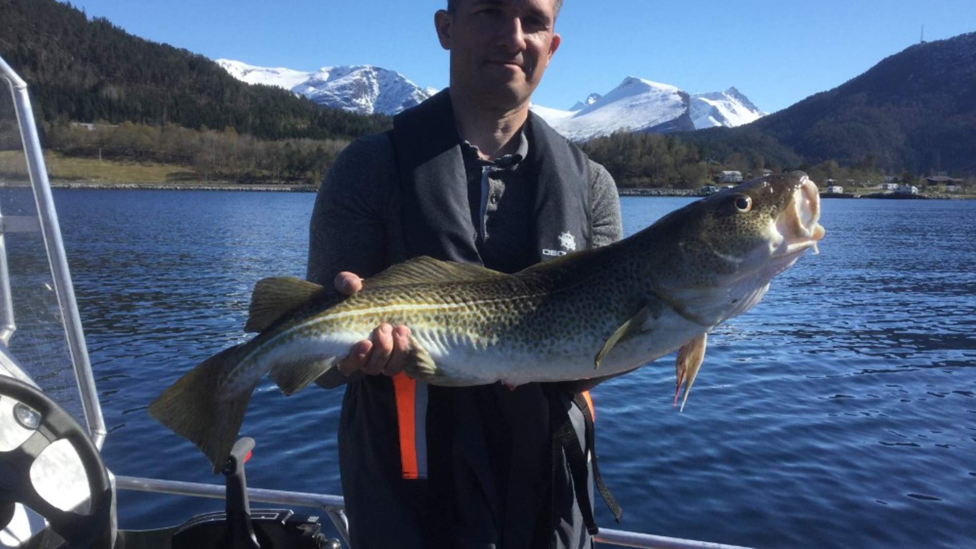 Saltkjelsnes camping - Fiske