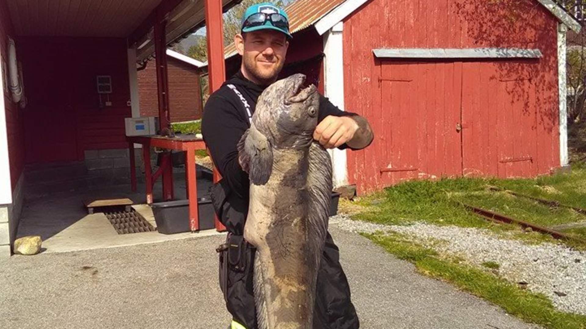 Saltkjelsnes camping - Fiske