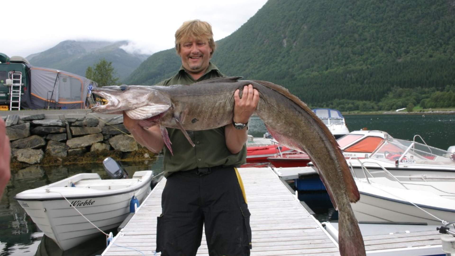 Saltkjelsnes Camping