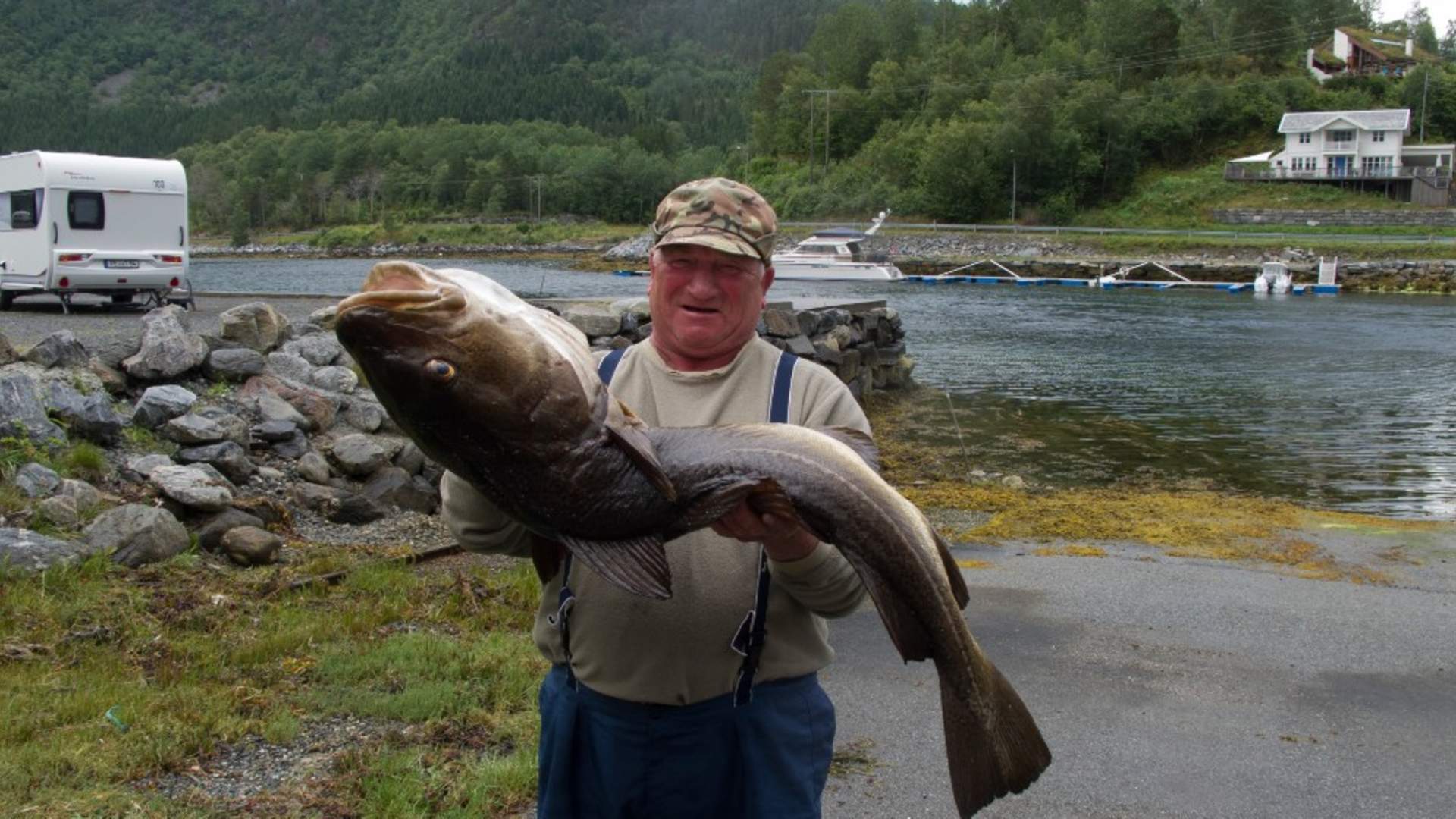 Saltkjelsnes camping - Fiske