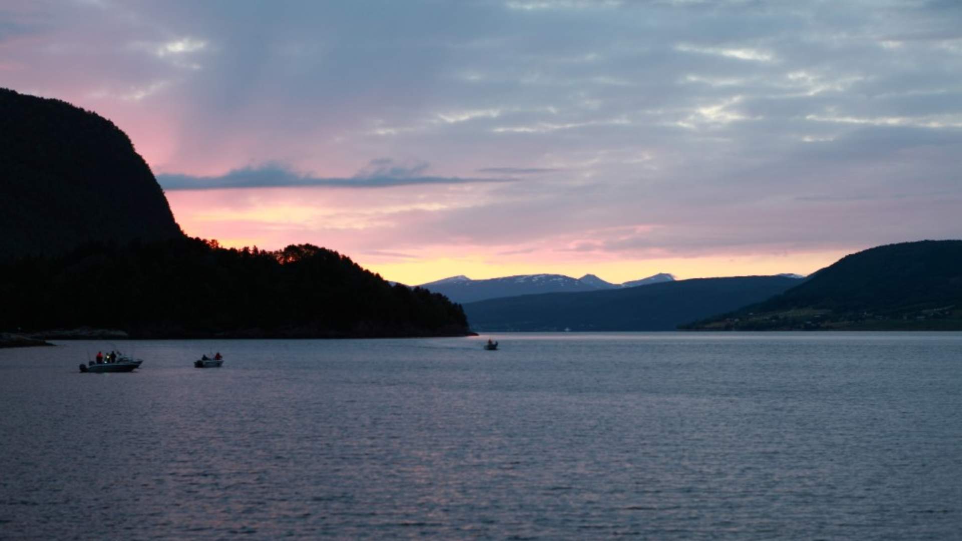 Saltkjelsnes Camping