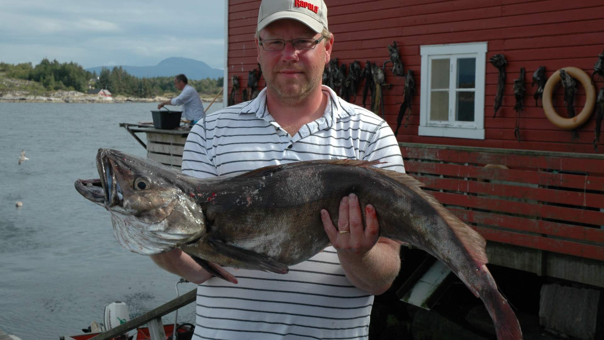 Skjerneset Bryggecamping