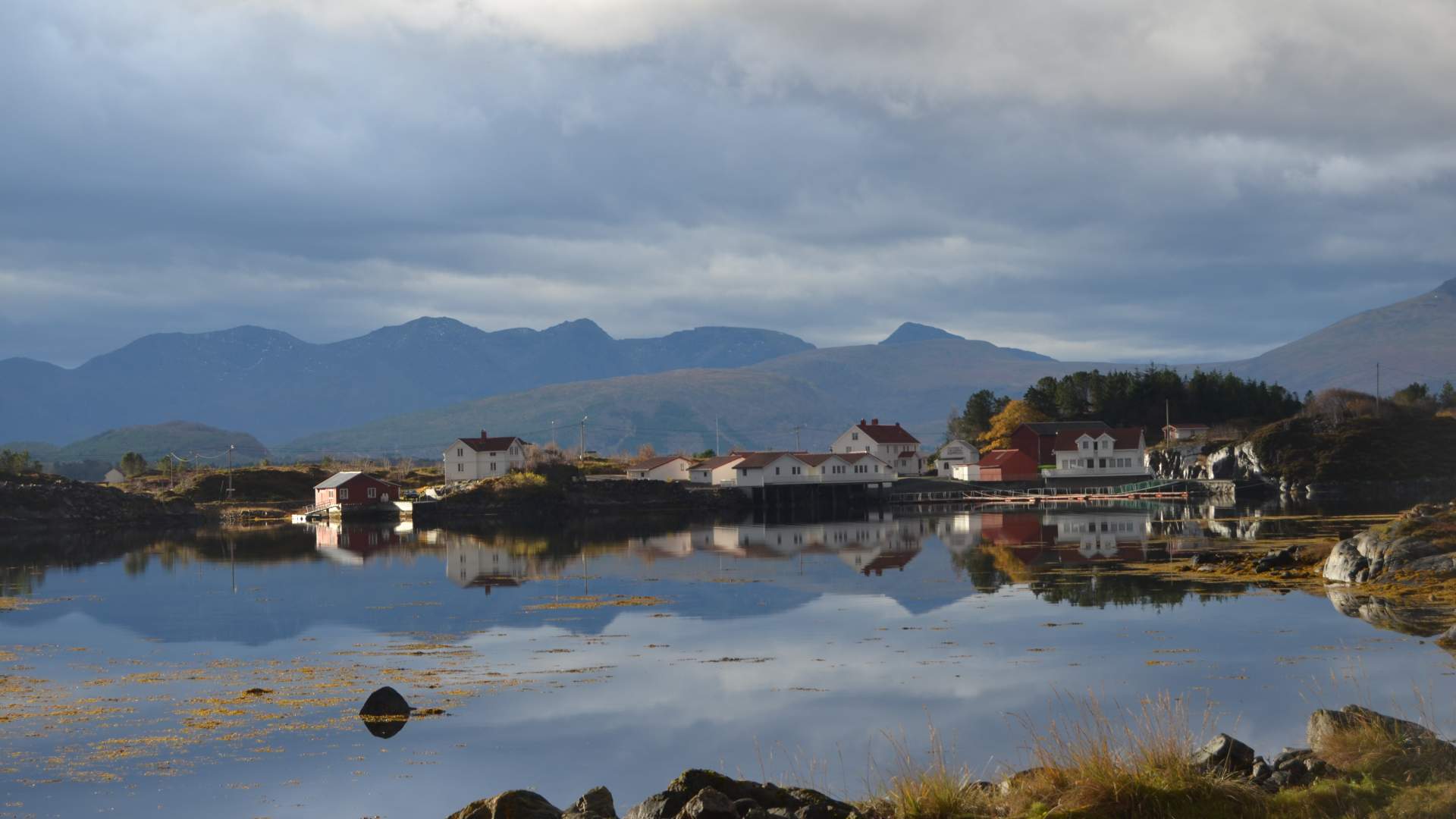 Lysøen Naturcamping og Rorbuer
