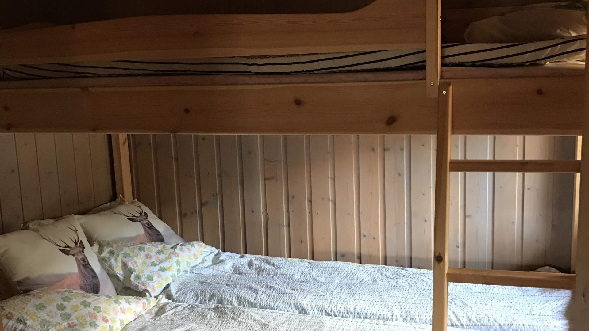 Romsdal camping og hytter