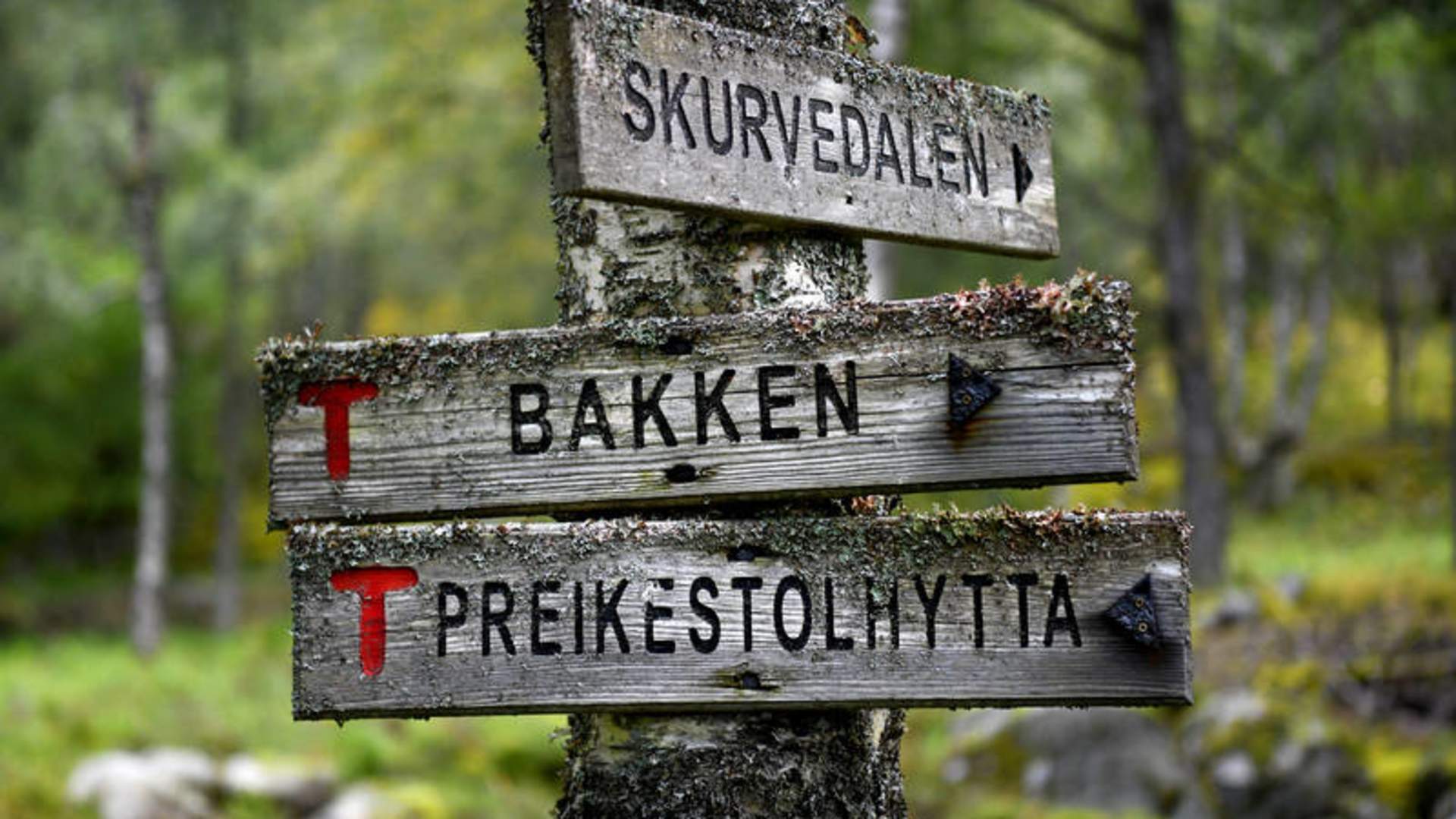 Bakken gard i Lysefjorden