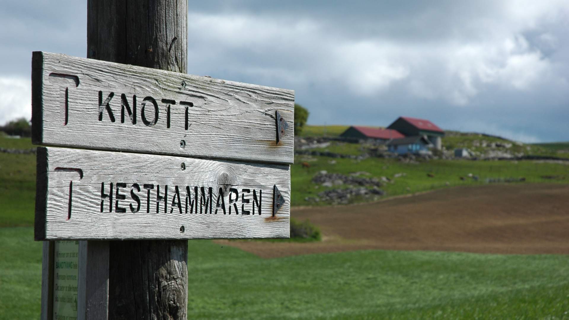 Fra Bø til Knott - en smak av Irland