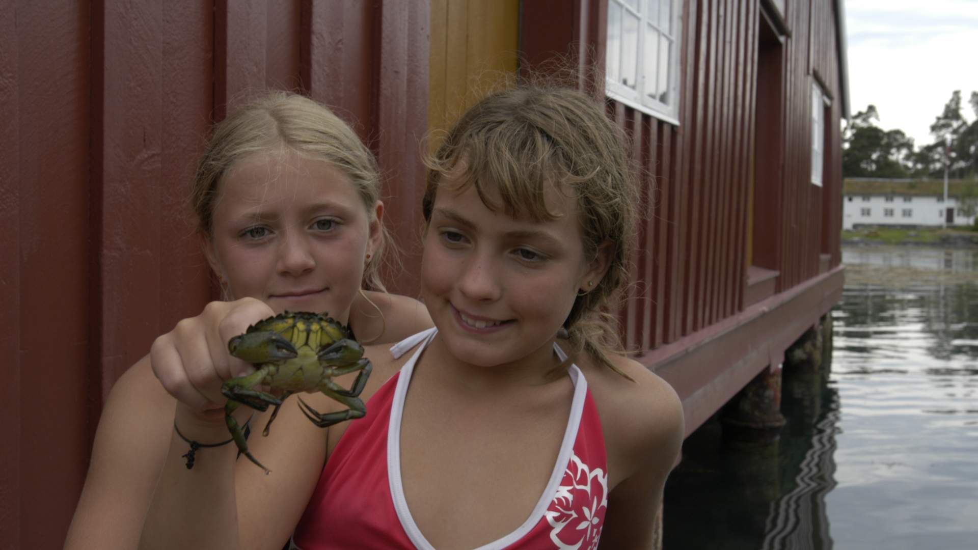 The Fisheries museum in Hjertøya