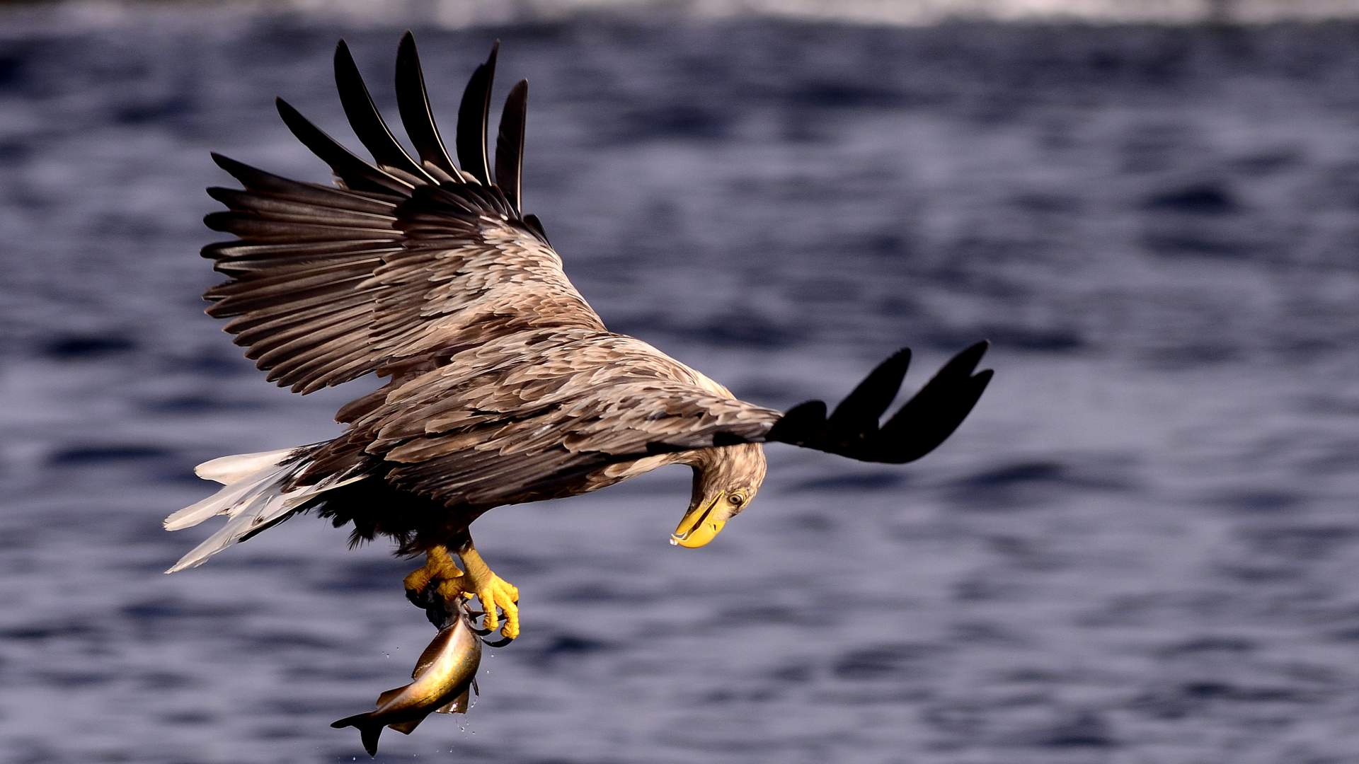 Værlandet og Bulandet